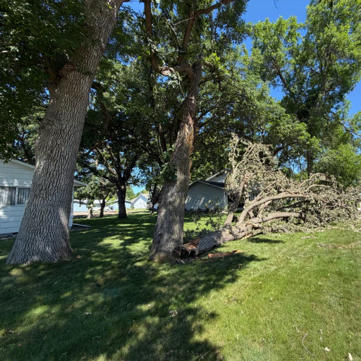 A+ Tree Service b